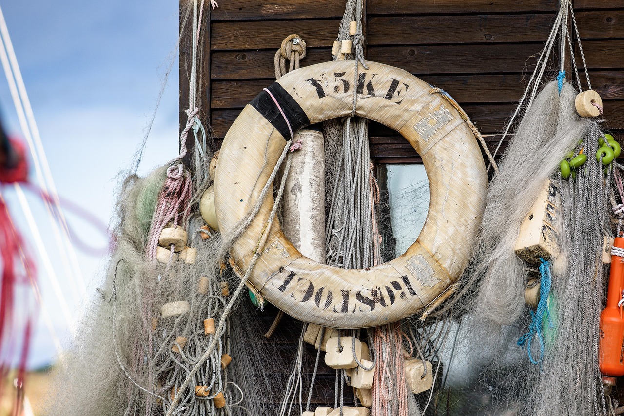 小鸟云实名账号：美拍的app详情下载教程